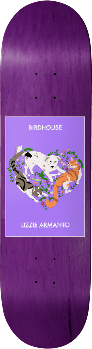 Birdhouse Armanto Friends Skateboard Deck 8.25