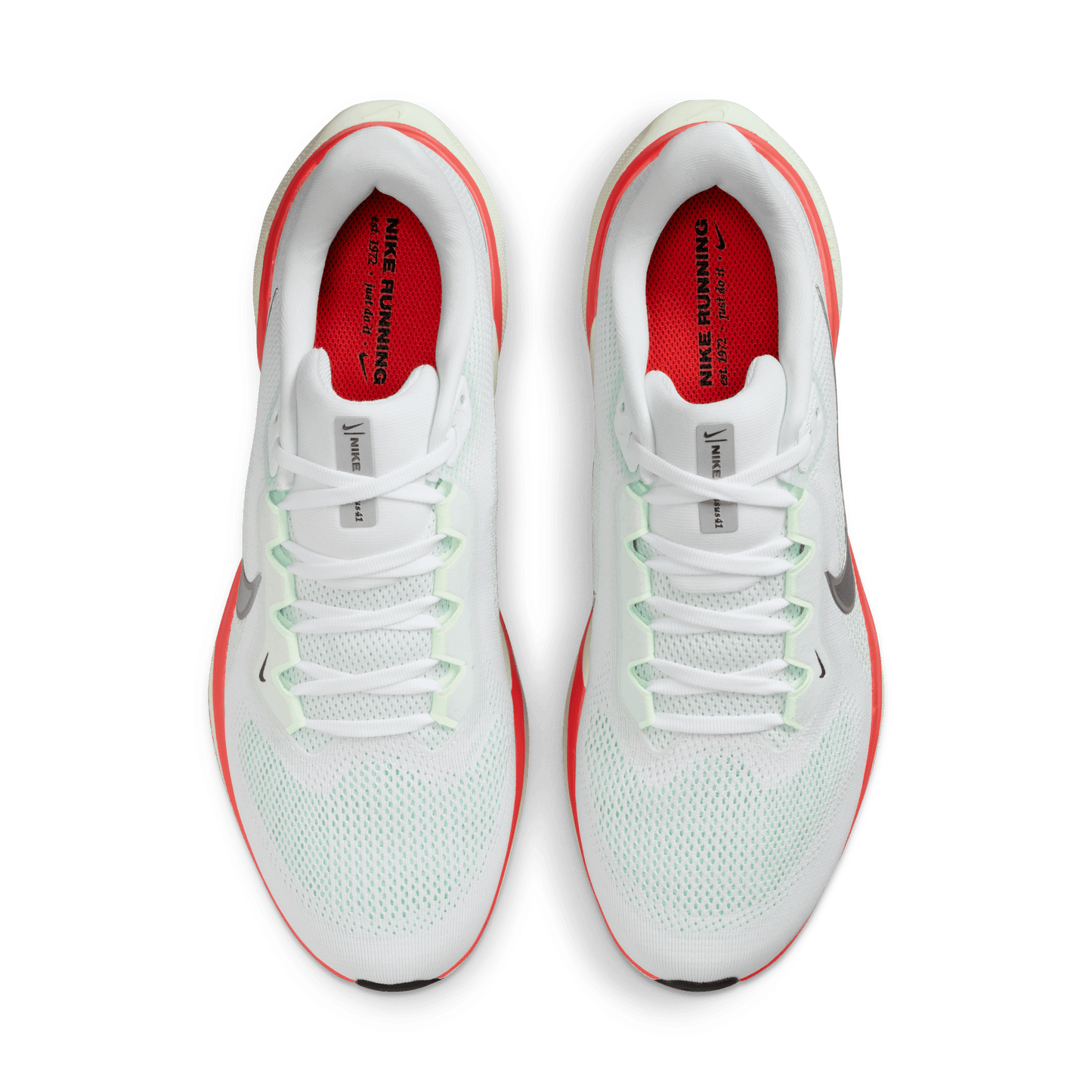 Nike Pegasus 41 White Metallic Silver