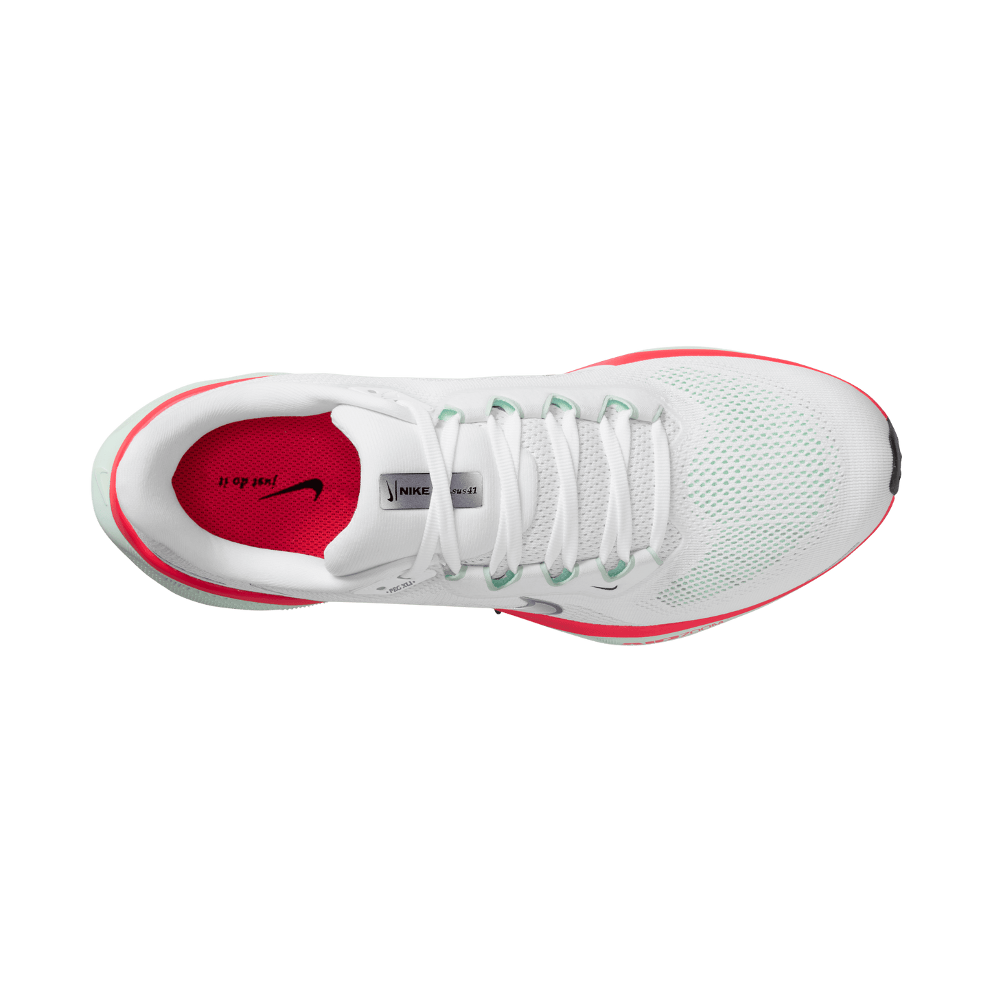 Nike Pegasus 41 White Metallic Silver