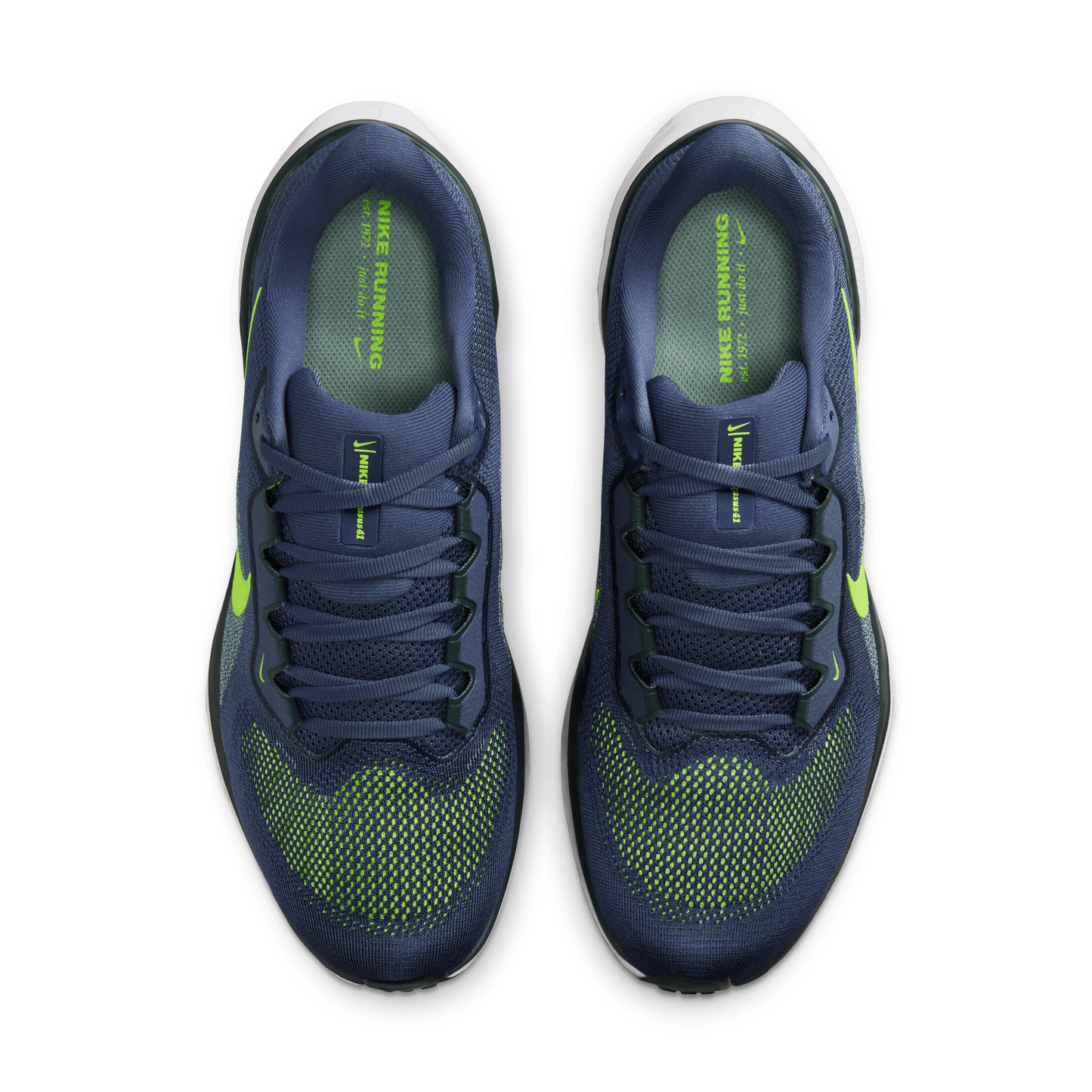 Nike Pegasus 41 Sanded Purple Volt