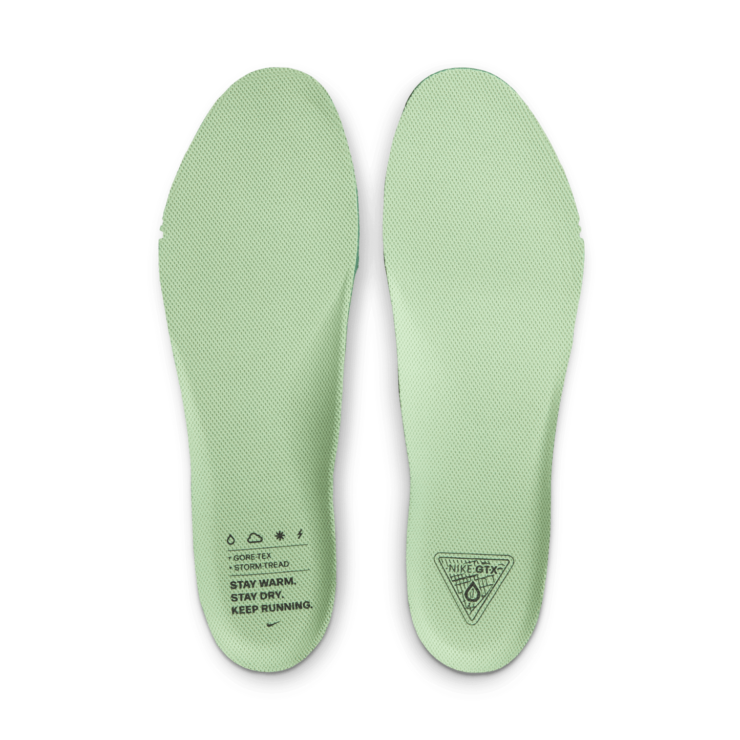 Nike Pegasus 41 GORE-TEX Cannon Volt
