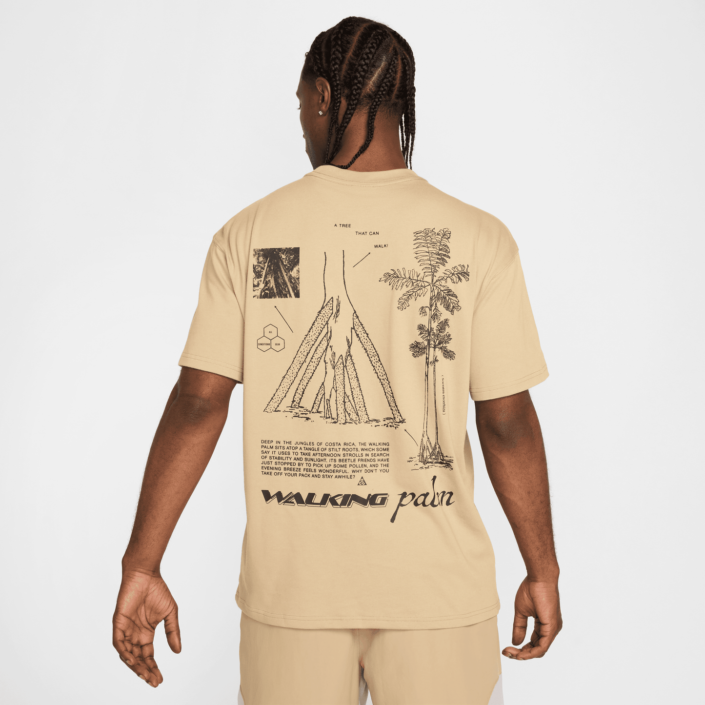 Nike ACG "Walking Tree" Dri-Fit T-Shirt Parachute Beige