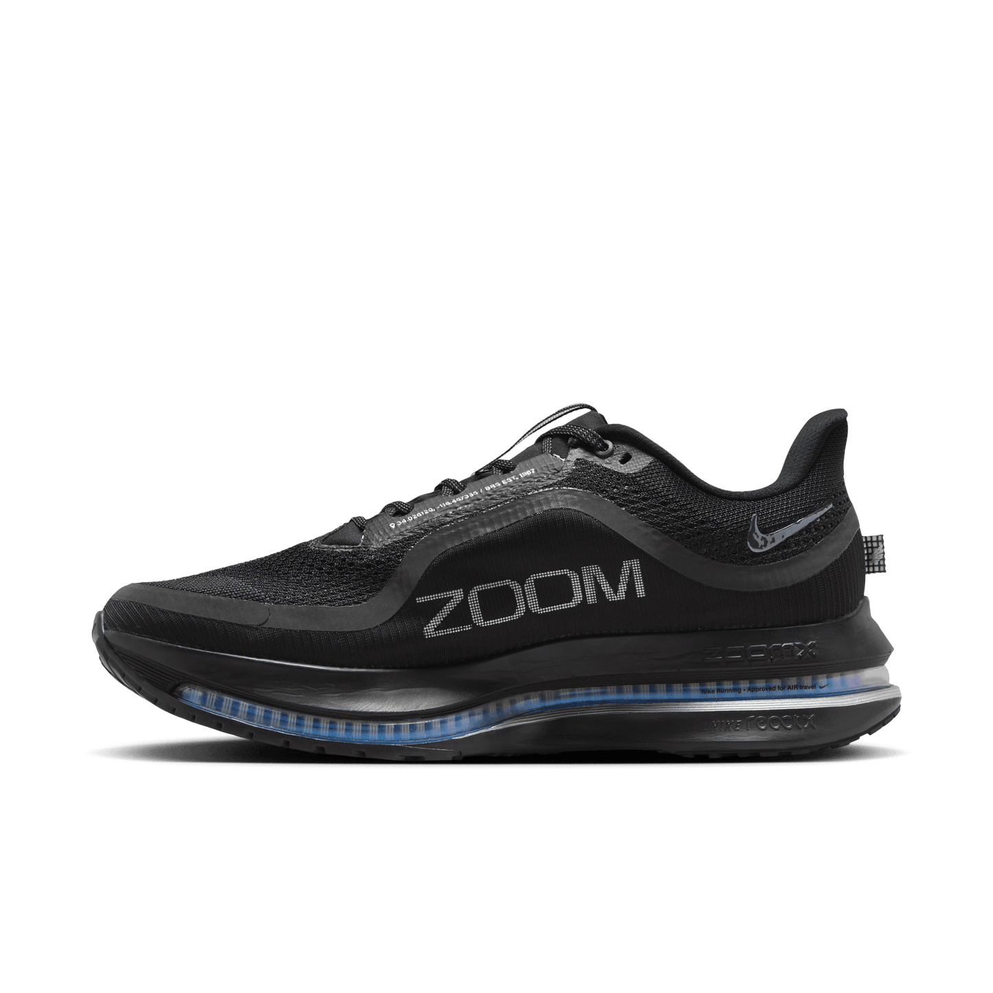 Nike Pegasus Premium Black Metallic Silver