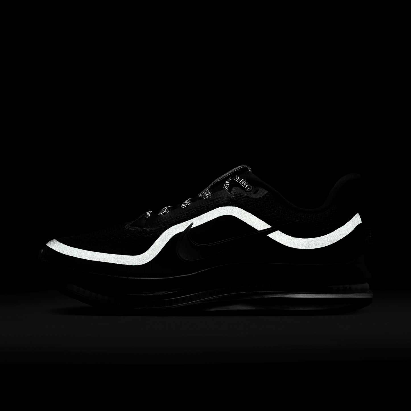 Nike Pegasus Premium Black Metallic Silver