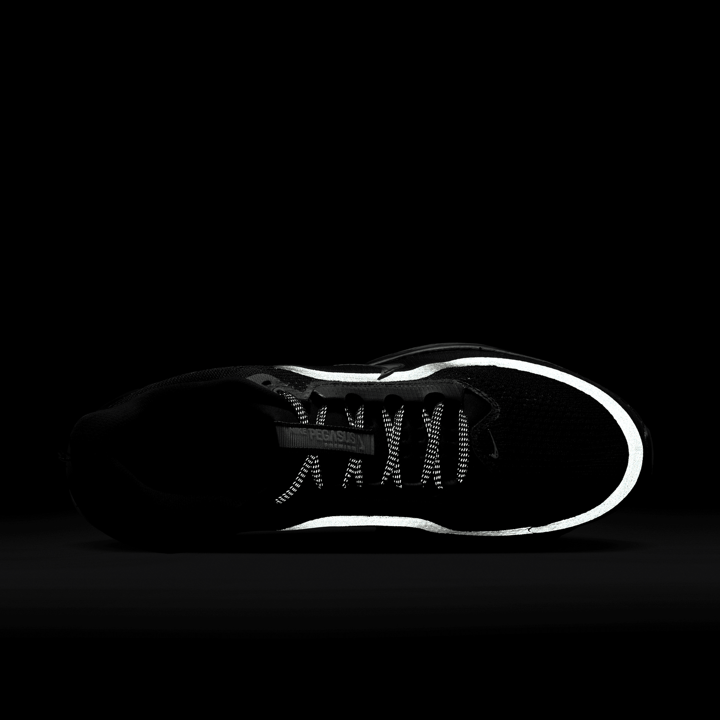 Nike Pegasus Premium Black Metallic Silver