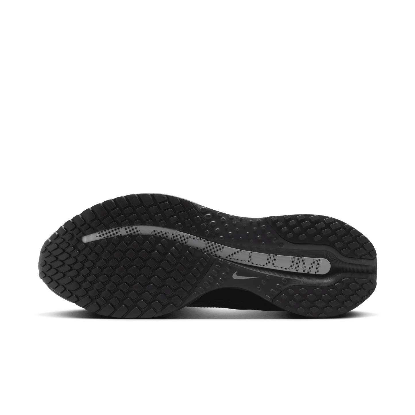 Nike Pegasus Premium Black Metallic Silver