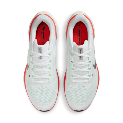 Nike Pegasus 41 White Metallic Silver