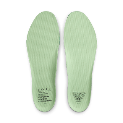 Nike Pegasus 41 GORE-TEX Cannon Volt