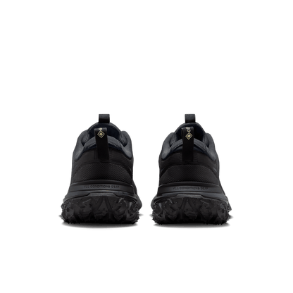 Nike ACG Mountain Fly 2 Low GORE-TEX Dk Smoke