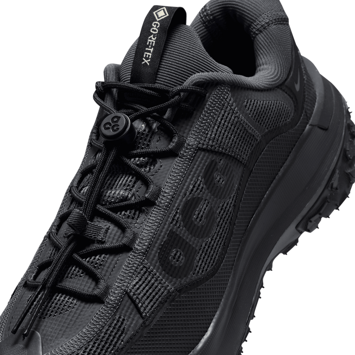 Nike ACG Mountain Fly 2 Low GORE-TEX Dk Smoke