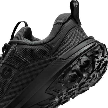 Nike ACG Mountain Fly 2 Low GORE-TEX Dk Smoke