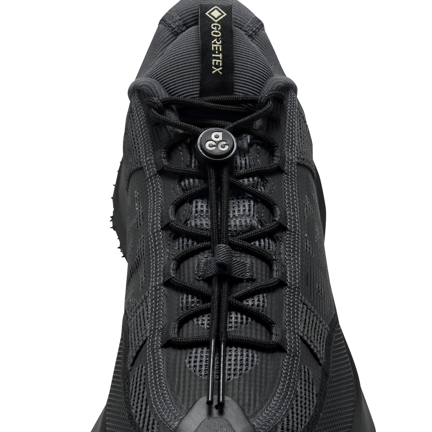 Nike ACG Mountain Fly 2 Low GORE-TEX Dk Smoke