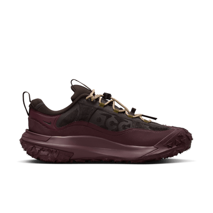 Nike ACG Mountain Fly 2 Low GORE-TEX Velvet Brown