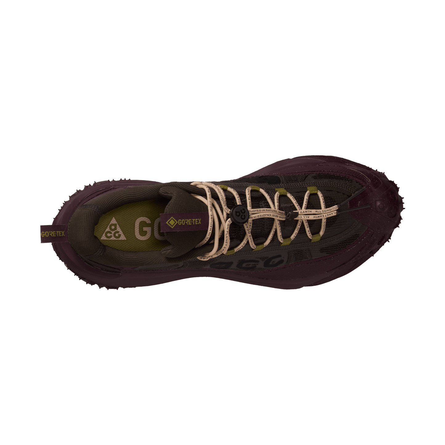 Nike ACG Mountain Fly 2 Low GORE-TEX Velvet Brown