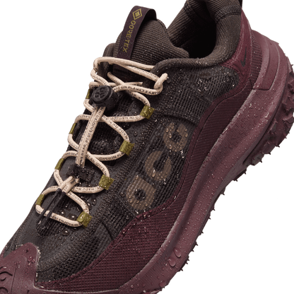 Nike ACG Mountain Fly 2 Low GORE-TEX Velvet Brown