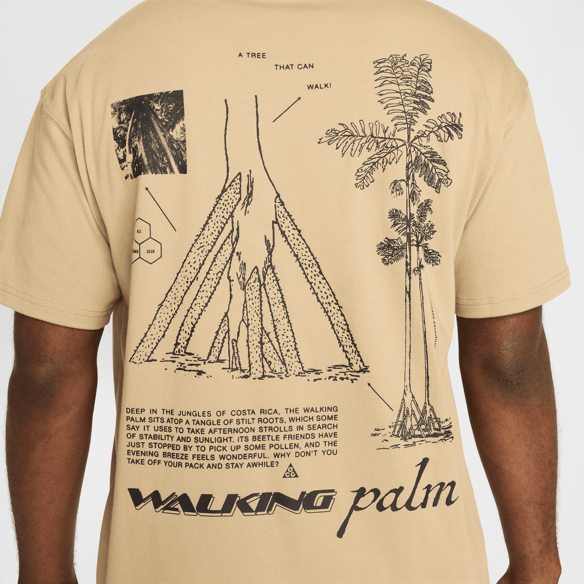 ★Nike★ ACG Walking Tree Dry Fit T-Shirt M Parachute Beige Nike ACG