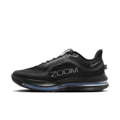 Nike Pegasus Premium Black Metallic Silver
