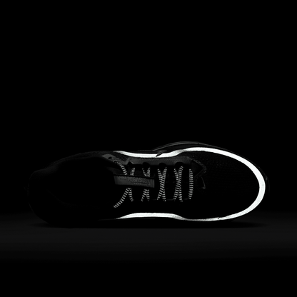 Nike Pegasus Premium Black Metallic Silver