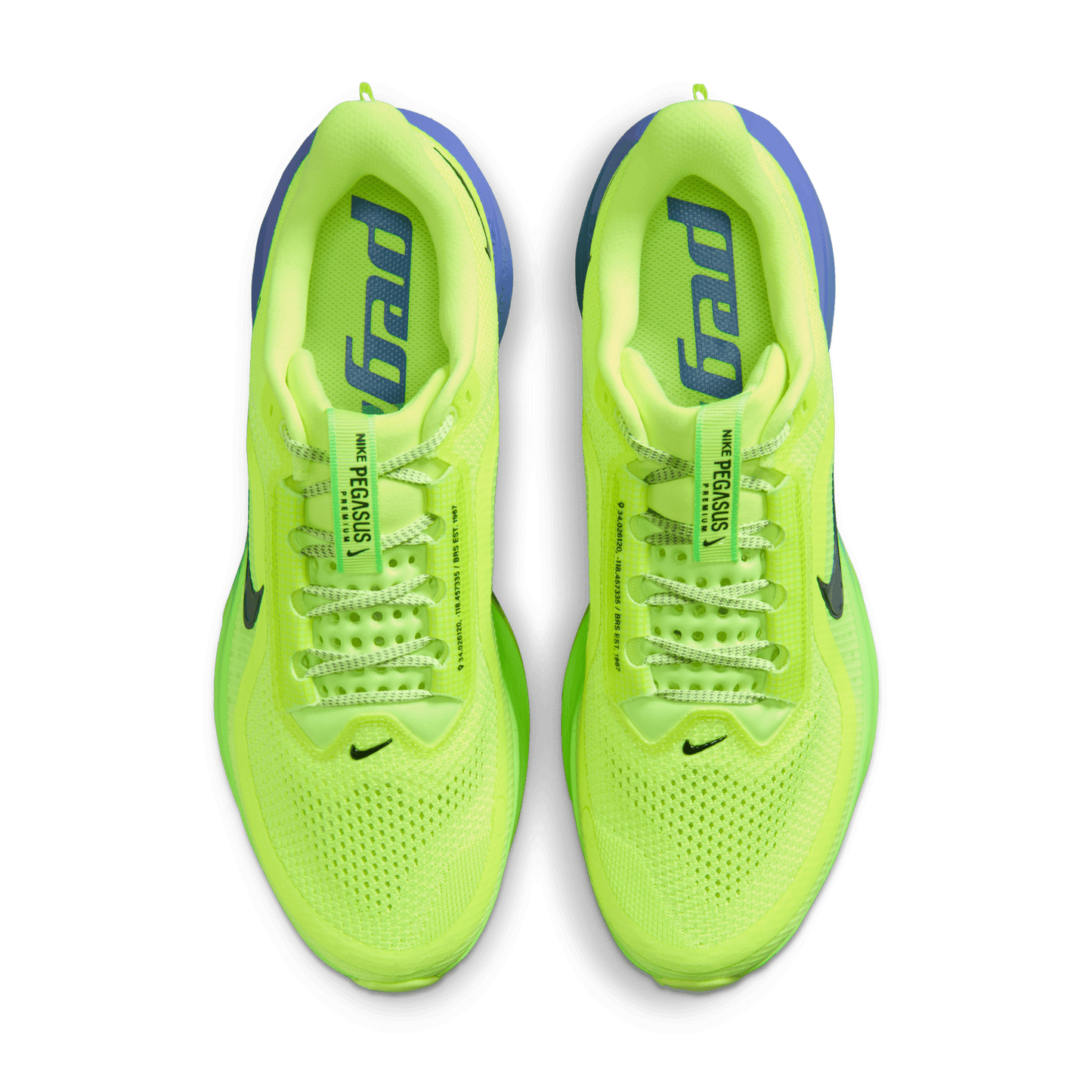 Nike Pegasus Premium Volt Ice