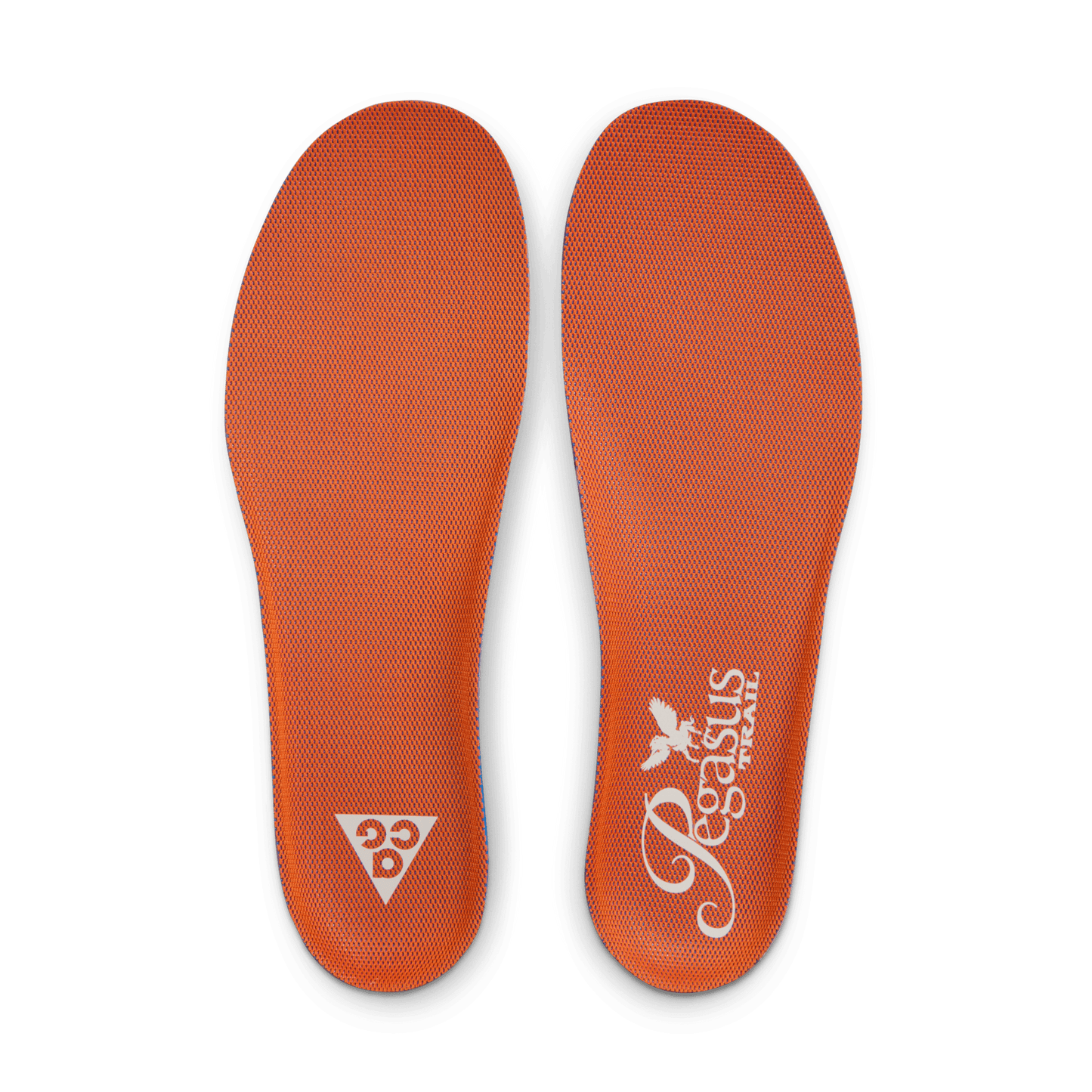 Nike ACG Pegasus Trail Jade Horizon