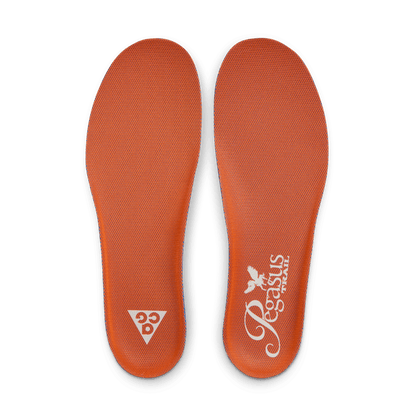 Nike ACG Pegasus Trail Jade Horizon