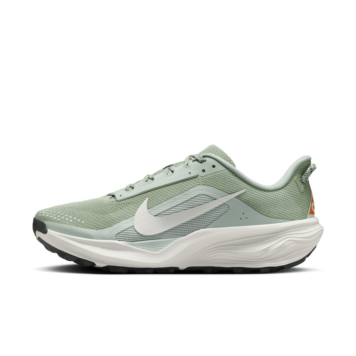 Nike ACG Pegasus Trail Jade Horizon