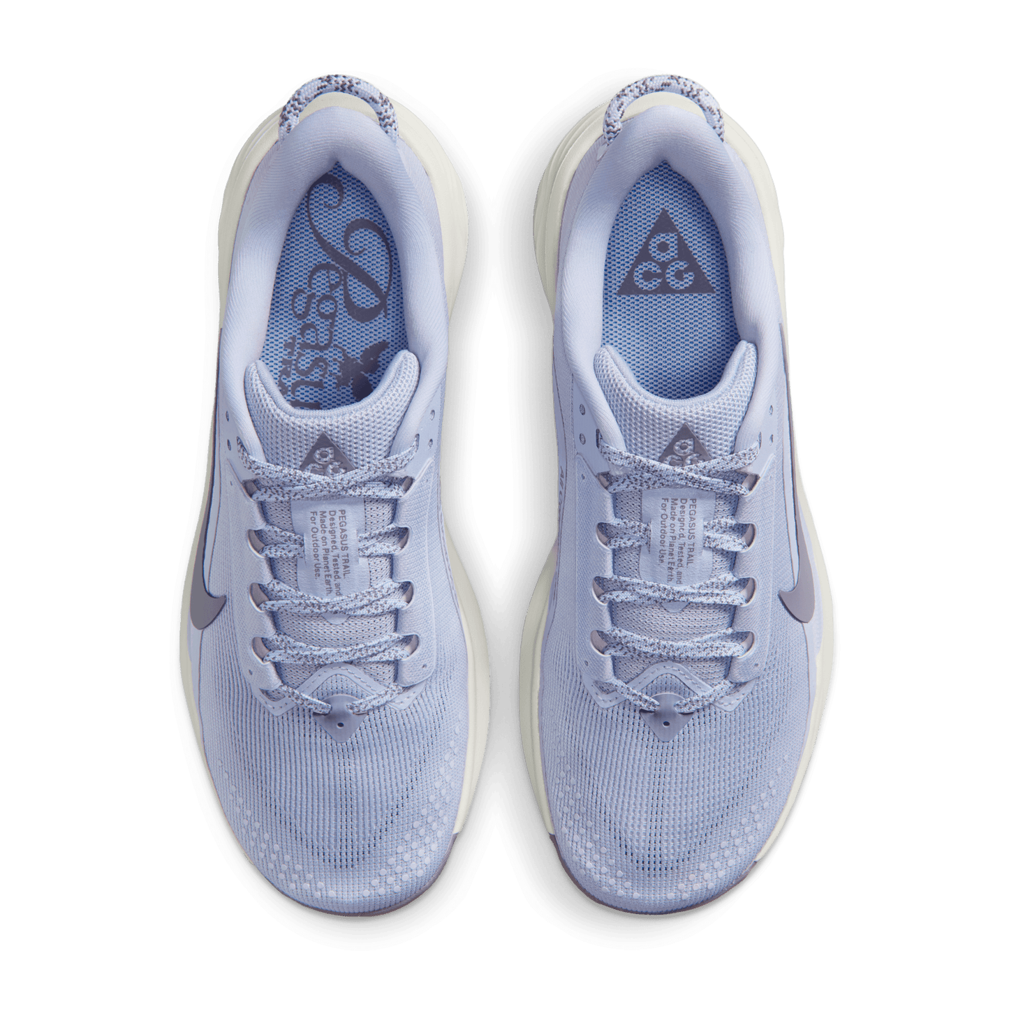 Nike Women's ACG Pegasus Trail Ghost
