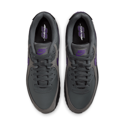 Nike Air Max 90 Iron Grey Wild Grape