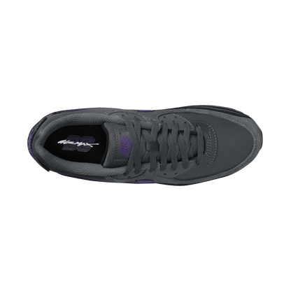 Nike Air Max 90 Iron Grey Wild Grape