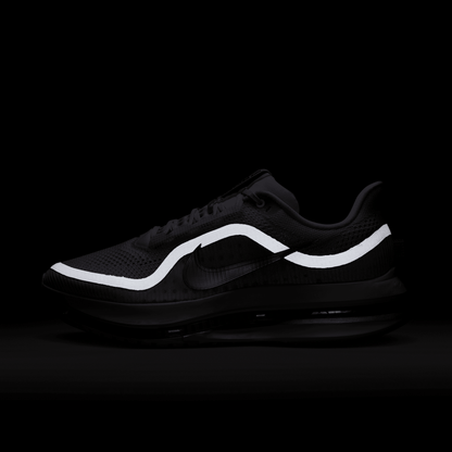 :Nike Pegasus Premium Platinum Tint Reflective