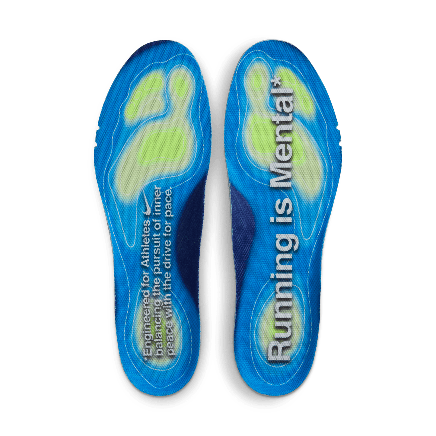 :Nike Pegasus Premium Platinum Tint Reflective