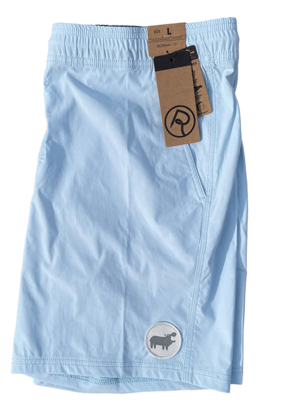 Double R Kicks Ledge Performance Shorts Ice Blue