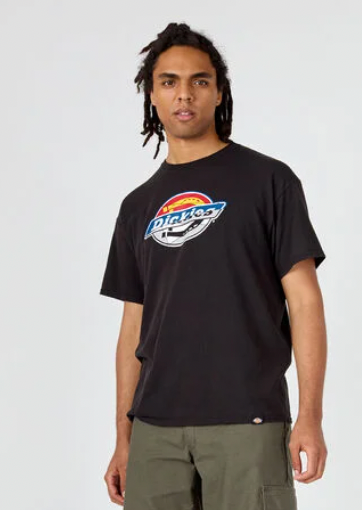 Dickies Skateboarding Break Out T-Shirt Black