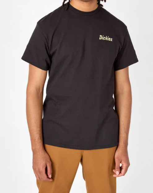Dickies Skateboarding Split T-Shirt Black