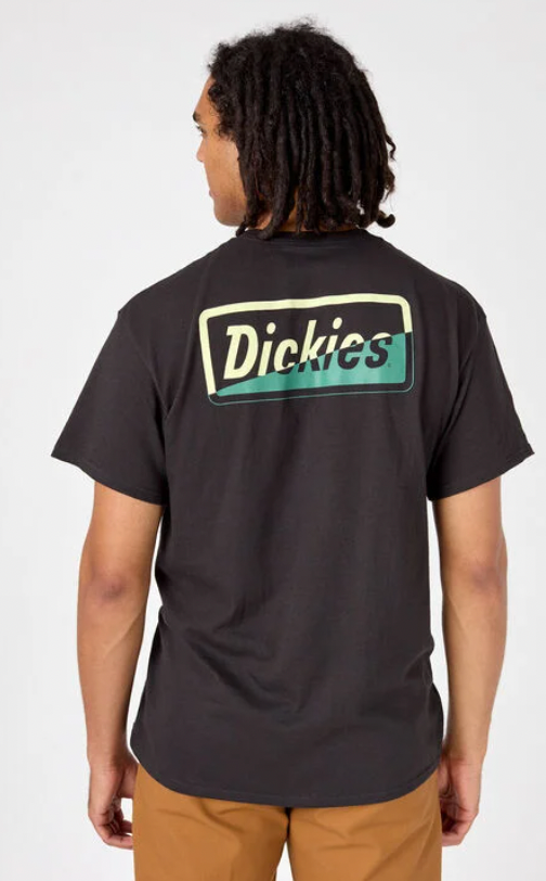 Dickies Skateboarding Split T-Shirt Black